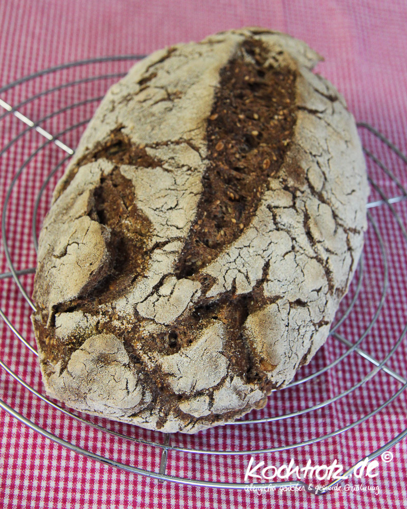 Kracherkrusten-Brot glutenfrei ohne Kneten