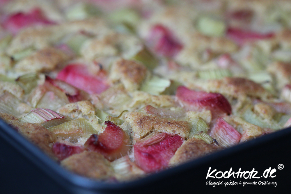 Rhabarberkuchen mehlfrei, milchfrei, fructosearm 3 Rhabarberkuchen-mehlfrei-milchrei-fructosearm-1-2