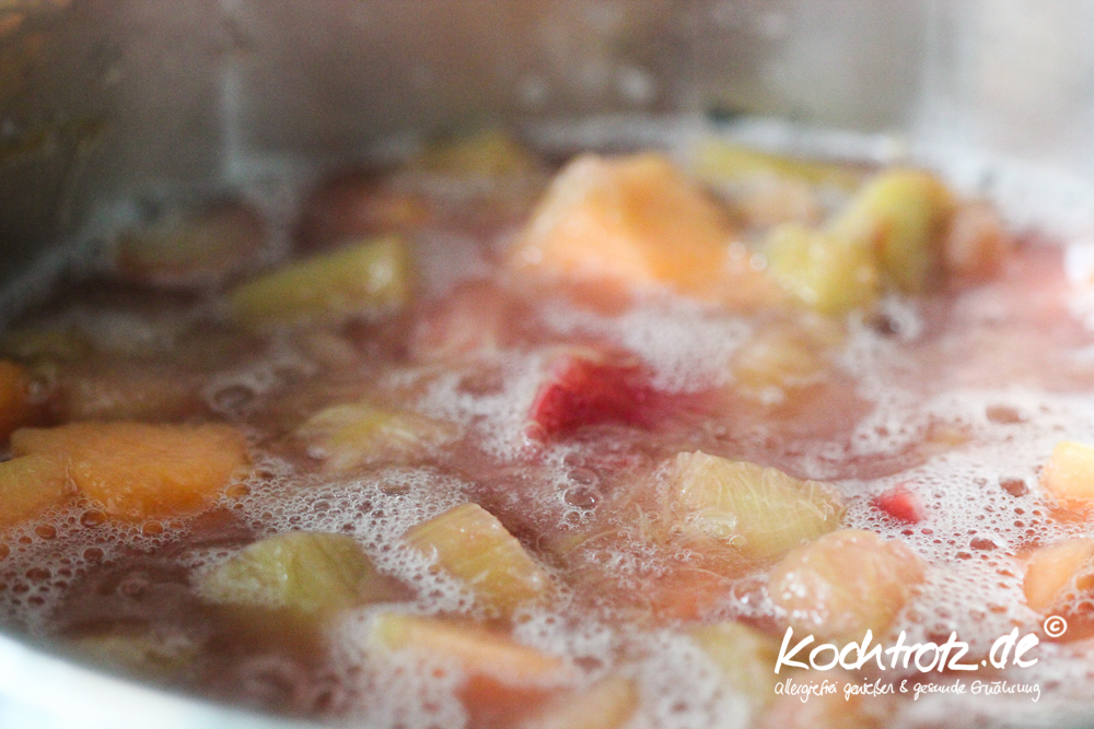 Rhabarber-Honigmelonen-Gelee fructosearm, histaminarm 6 Rhabarber-Honigmelonen-Gelee fructosearm, histaminarm, vegan
