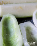 gemuese-sauer-einlegen-histaminarm-essig-essenz-rezept-1-8