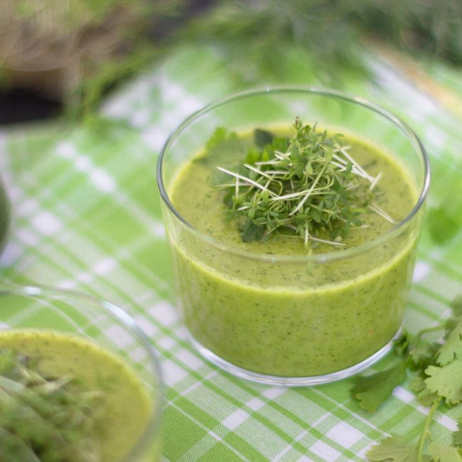 Zucchini Gazpacho | schnelle kalte Suppe für heiße Sommertage