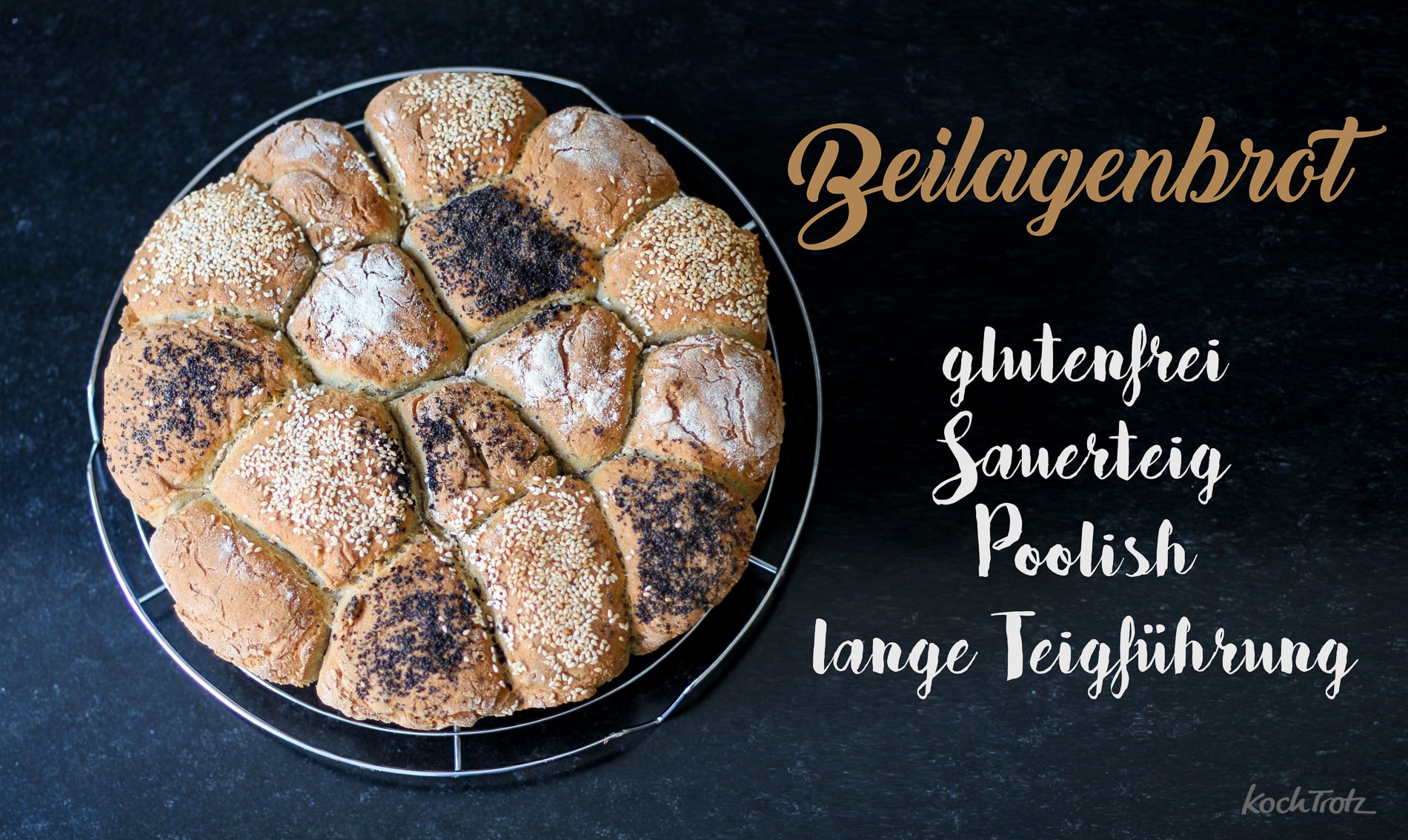 Glutenfreies Beilagenbrot - ein Backexperiment im Rahmen der Aktion Synchronbacken - lange Teigführung mit Poolish und glutenfreiem Lievito Madre 7 Beilagenbrot glutenfrei synchronbacken 11 1kochtrotzt-rezepte