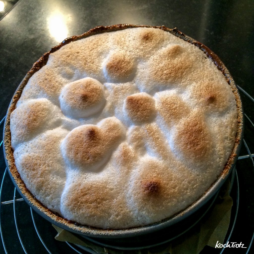 Produktliste und Erfahrungen Eischnee-Alternative (Aquafaba) aus Kichererbsen- oder Bohnenwasser - FAQ 3 Eischnee Kichererbsenwasser Produktliste 1 8kochtrotzt-rezepte