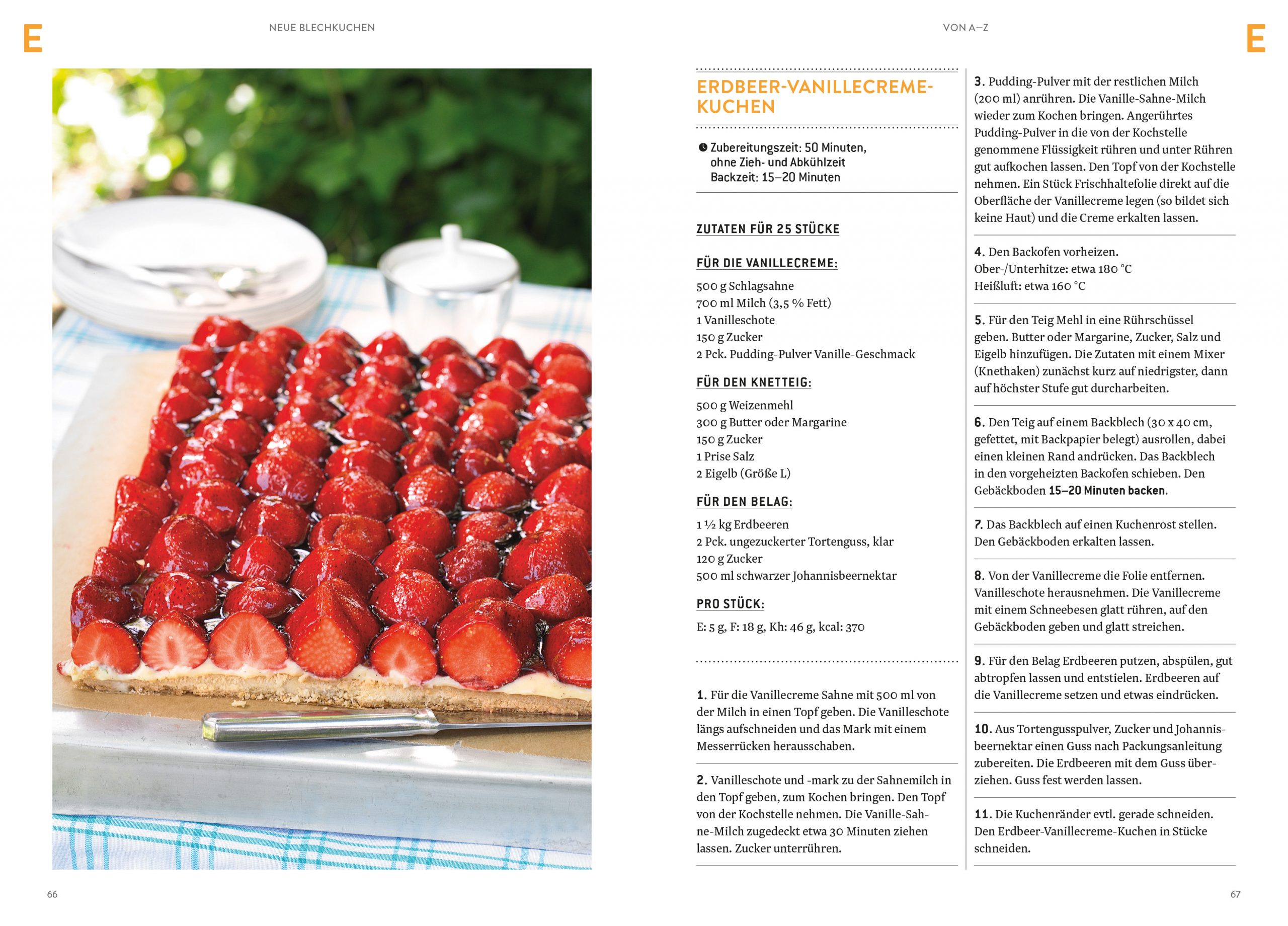 Das Dr. Oetker Frühjahrs-Kochbuch-Programm 2017 - ich bin sehr positiv angetan 36 Neue Blechkuchen BlickinsBuch scaledkochtrotzt-rezepte