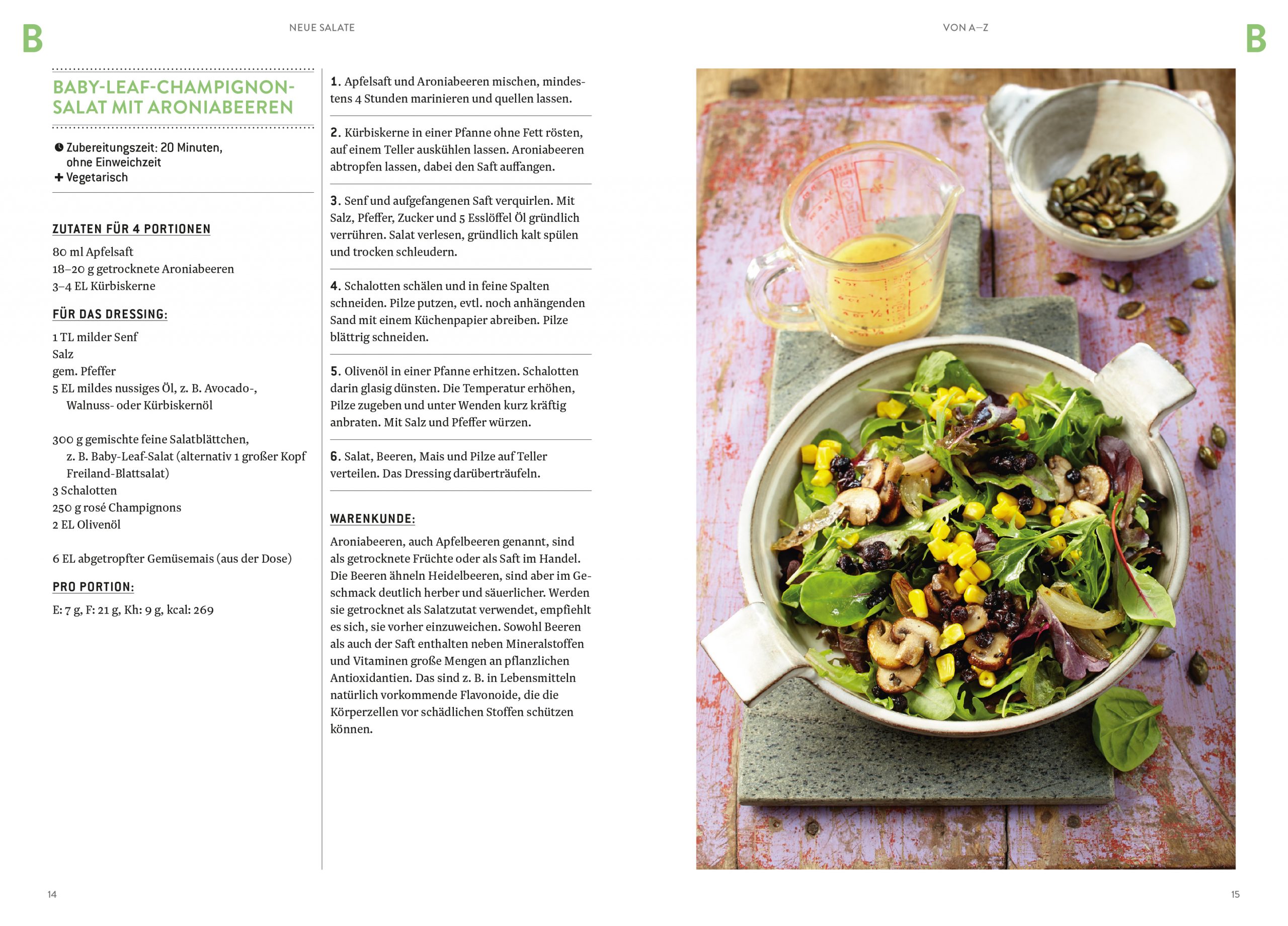 Das Dr. Oetker Frühjahrs-Kochbuch-Programm 2017 - ich bin sehr positiv angetan 26 Neue Salate AZ BlickinsBuch 1 scaledkochtrotzt-rezepte
