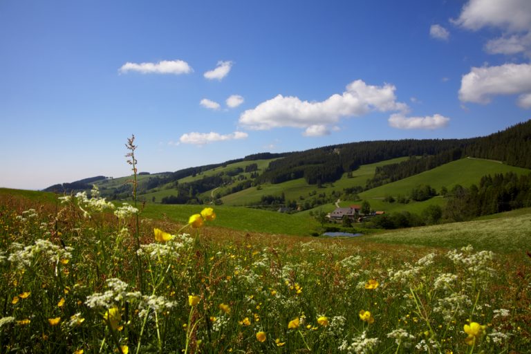 KochTrotz bei LAC - Schwarzwaldmilch | Freiburg