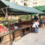 Mein Reisebericht zu unserer Südamerika-Reise - die Kap Horn Kreuzfahrt - Teil 2 24 buenos aires 2016 reisebericht kreuzfahrt kap horn chile 21 2kochtrotzt-rezepte