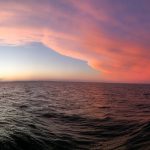 Mein Reisebericht zu unserer Südamerika-Reise - die Kap Horn Kreuzfahrt - Teil 2 23 buenos aires 2016 reisebericht kreuzfahrt kap horn chile 49 2kochtrotzt-rezepte