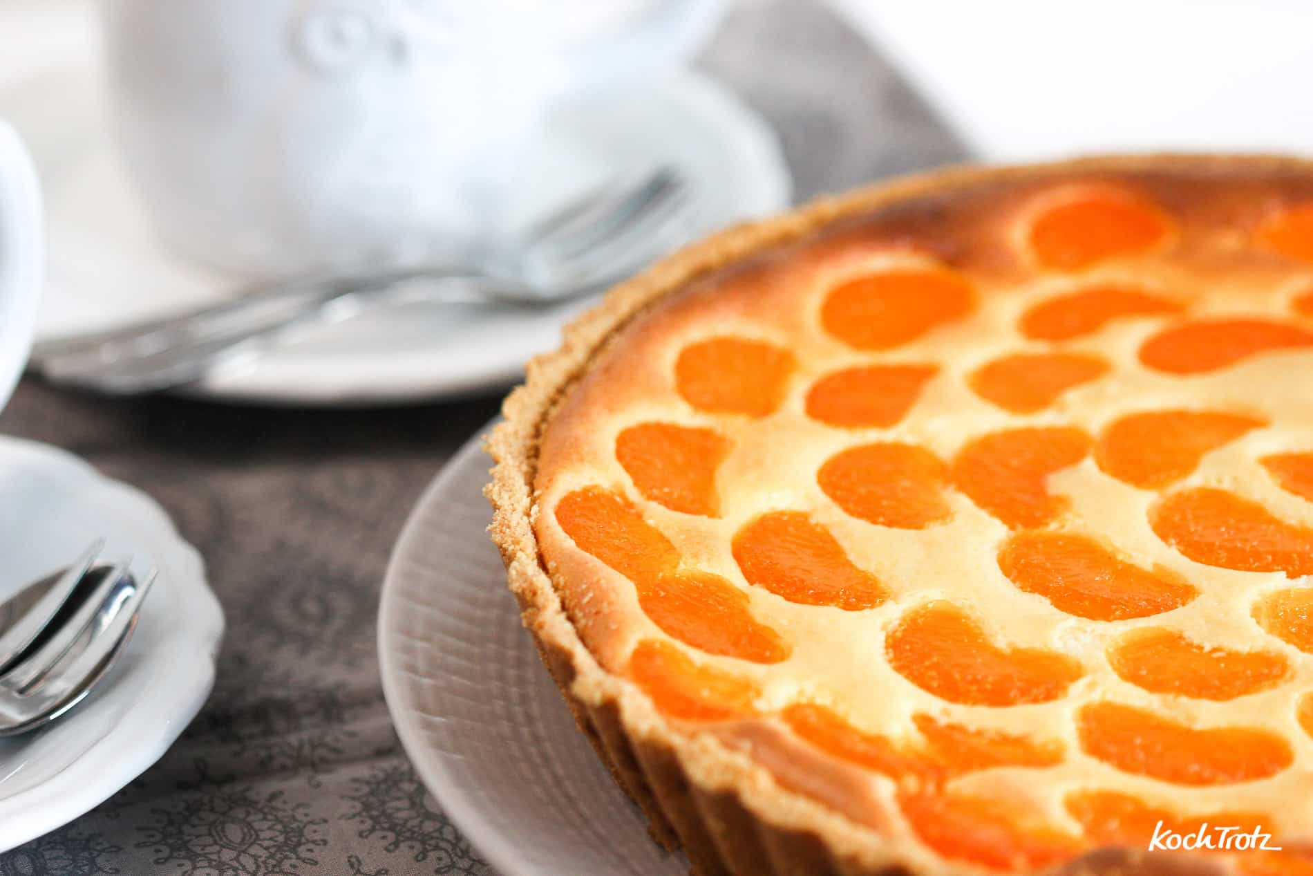 Frischkäsetarte mit Früchten und Keksboden - glutenfrei und laktosefrei 4 frischkaese tarte mit fruechten glutenfrei laktosefrei 3Pauly Osterspecial 6 1kochtrotzt-rezepte