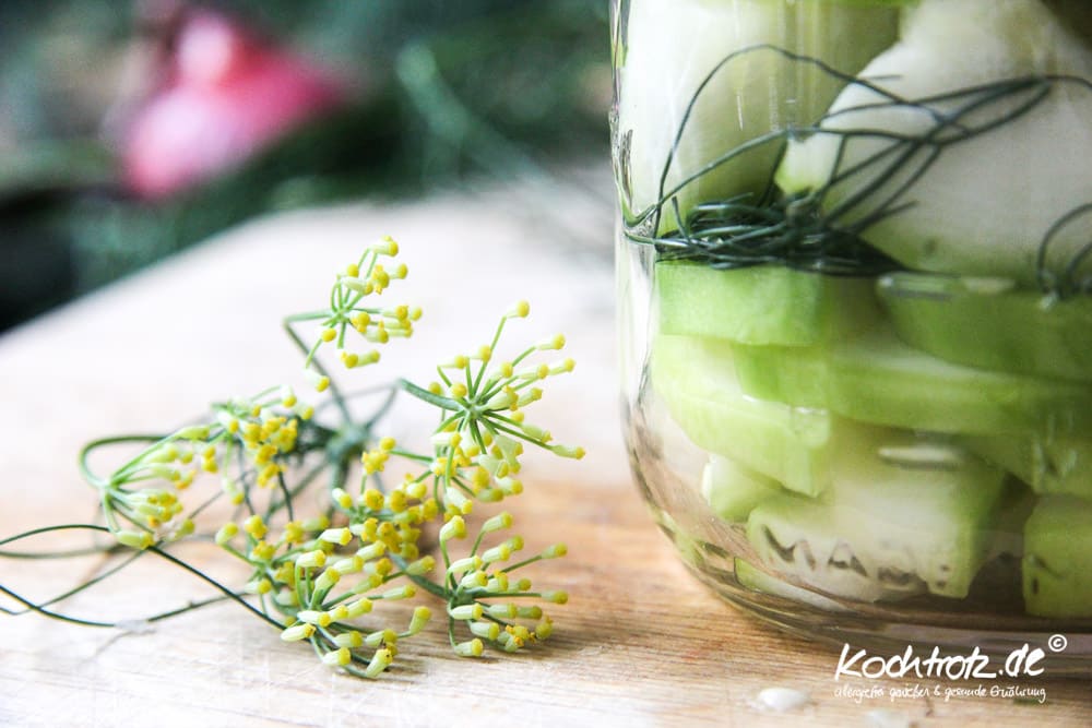 Gemüse sauer einlegen - histaminarm - Grundrezept 4 gemuese sauer einlegen histaminarm essig essenz rezept 1 17 4kochtrotzt-rezepte