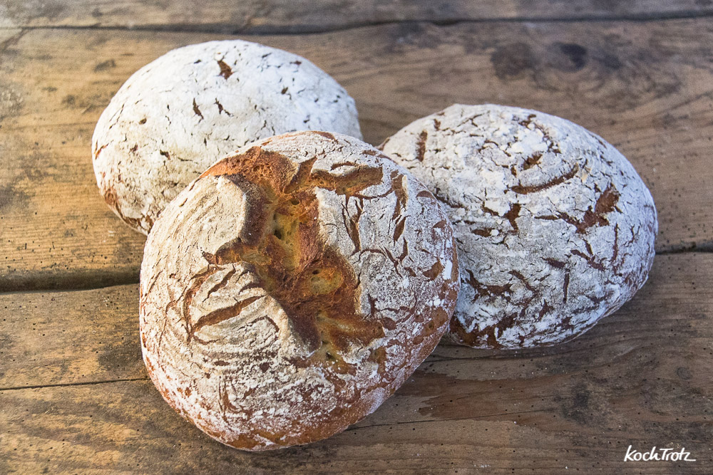 Glutenfreien Teig Dehnen und Falten klappt mit der Backmatte | der Trick ohne Gärkörbchen | was bedeutet Schluss nach oben oder unten? 7 glutenfreien teig mit backmatte dehnen falten schluss nach oben oder unten 1 5 1kochtrotzt-rezepte