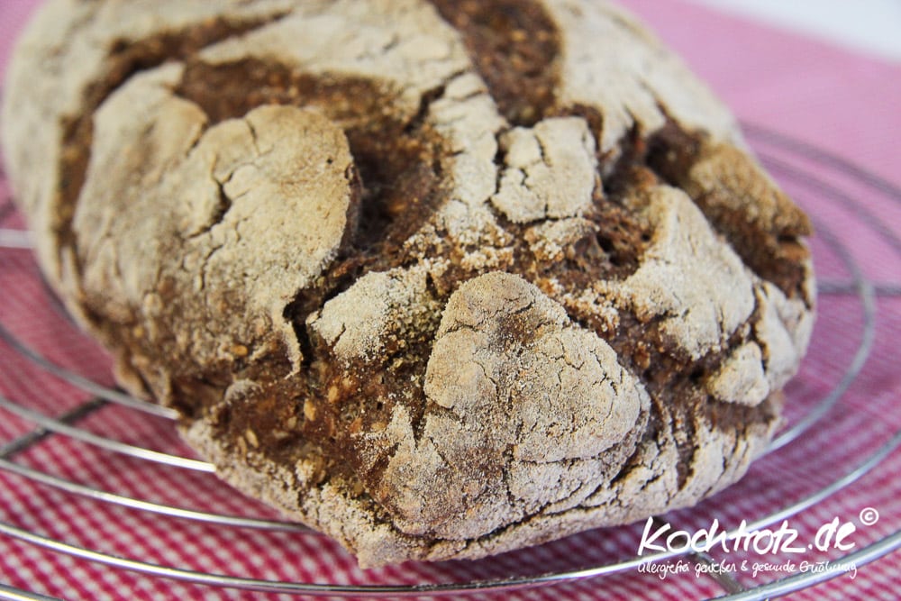 glutenfreies Kracherkrusten-Brot ohne Kneten - JETZT AUCH ALS VOLLKORN-VARIANTE 2 glutenfreies brot ohne kneten 1 10 11kochtrotzt-rezepte