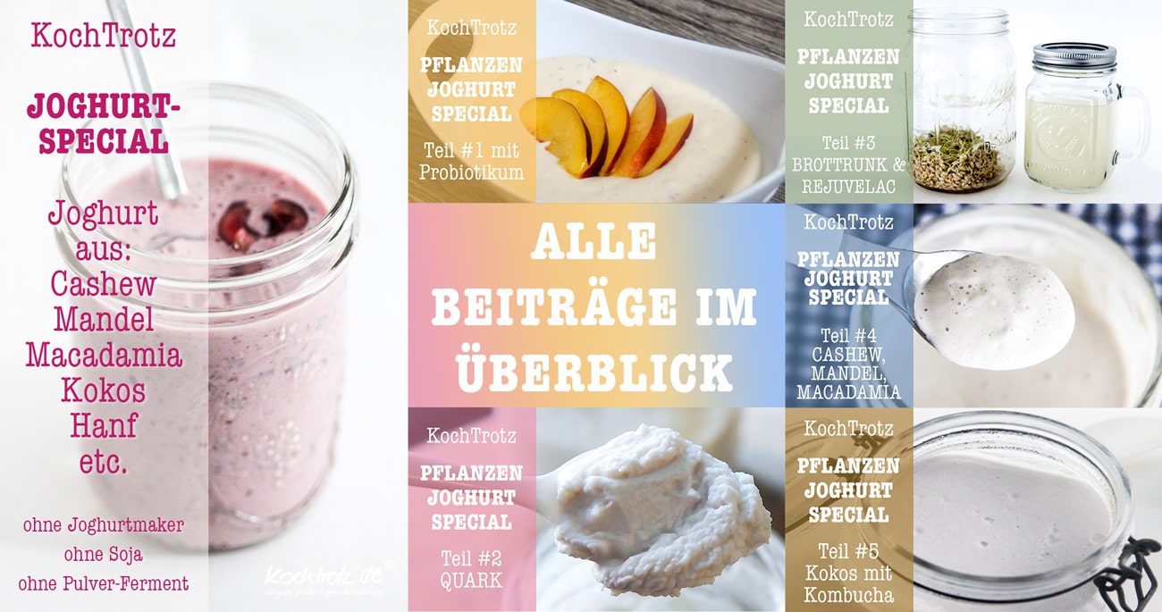 Das große KochTrotz Joghurt-Special - sojafreie vegane Joghurt-Alternativen 8 kochtrotz joghurt special ueberblick sojafrei vegan 2kochtrotzt-rezepte