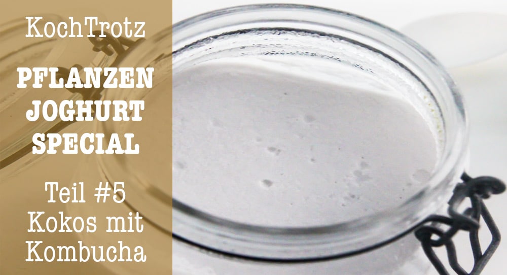 Kokos-Joghurt mit Kombucha - glutenfreie vegane Alternative zu Sojajoghurt 2 kochtrotz joghurtspecial sojafreier veganer Kokosjoghurt glutenfrei kombucha 2kochtrotzt-rezepte