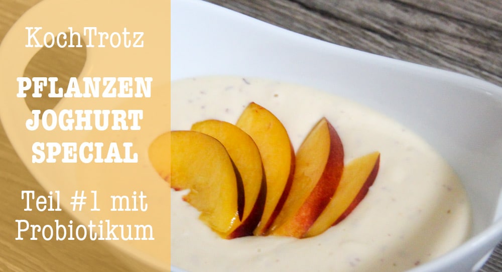 Sojafreie und milchfreie Joghurt-Alternative ohne Joghurt-Zubereiter - einfache Methode mit Probiotikum - roh-vegan 7 kochtrotz joghurtspecial sojafreier veganer joghurt mit probbiotikum 6kochtrotzt-rezepte