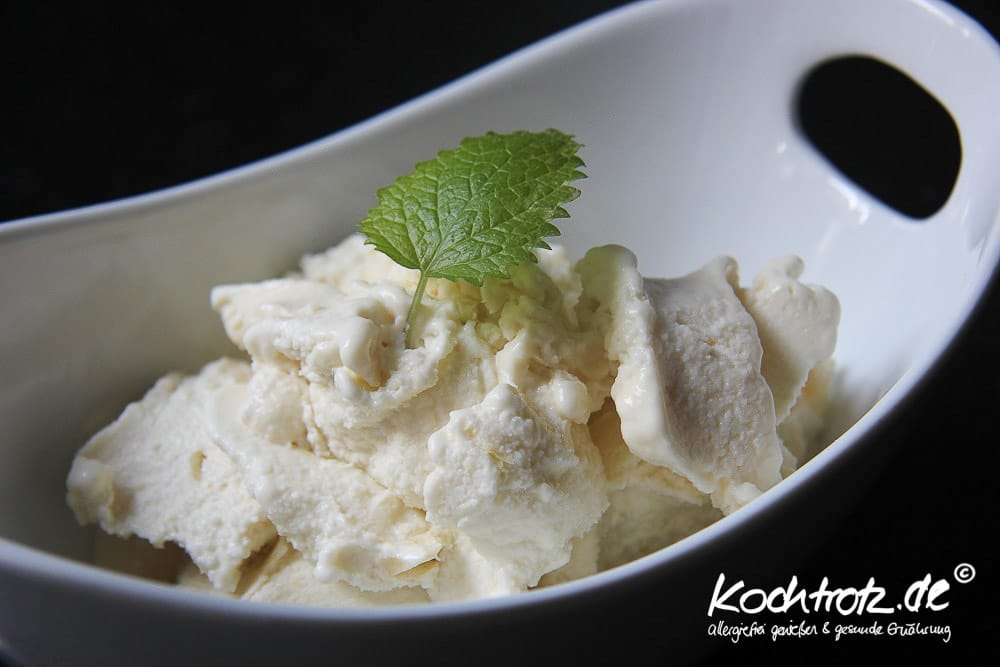 Rhabarber-Joghurt-Eis laktosefrei 1 kt Rharbarber Eis 2 1 4kochtrotzt-rezepte