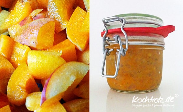 Aprikosen-Schalotten-Chutney, zuckerfrei und Spass dabei 1 kt f aprikosen schalotten chutney 6kochtrotzt-rezepte