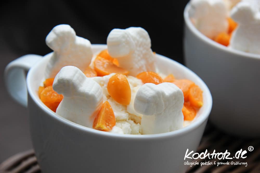 Blitzversion - Frozen Joghurt laktosefrei 1 kt frozen yoghurt laktosefrei 1 2 4kochtrotzt-rezepte