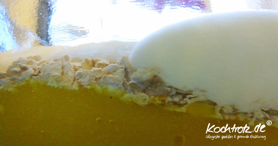 Mango-Joghurt-Haferflocken im Detail
