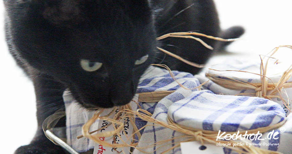 Kater Neko und das aromatisierte Salz Kater Neko und das aromatisierte Salz