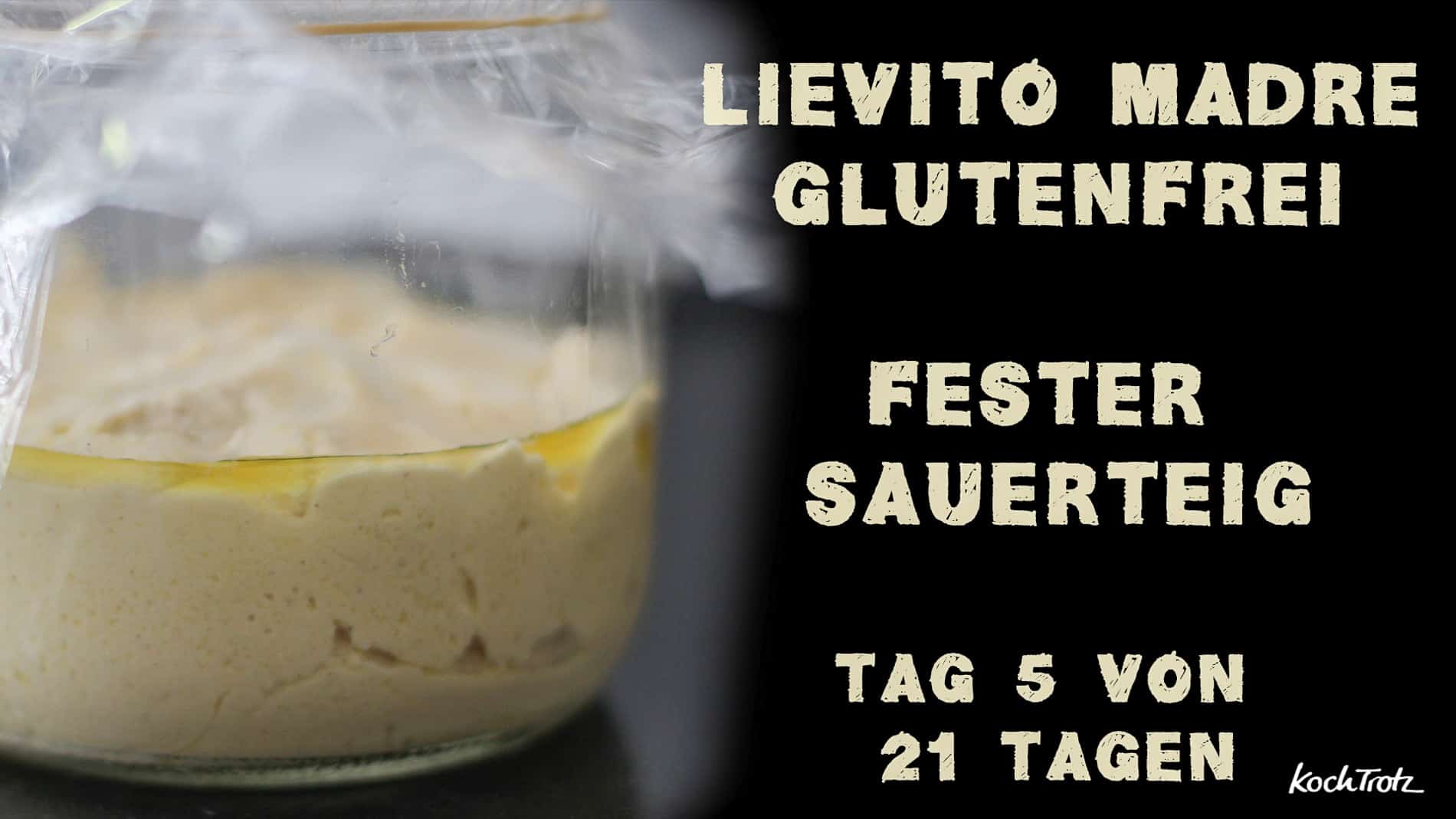 Tag 5 von 21 - Lievito Madre glutenfrei - Gemeinschaftsprojekt zum mitmachen - Schritt für Schritt Anleitung mit Film 4 lievito madre glutenfrei tag5 kochtrotz 1 1kochtrotzt-rezepte
