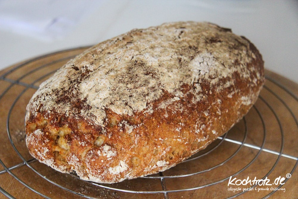 Quinoabrot glutenfrei 1 quinoa brot halb halb glutenfrei rezept kochtrotz 1 20 9kochtrotzt-rezepte