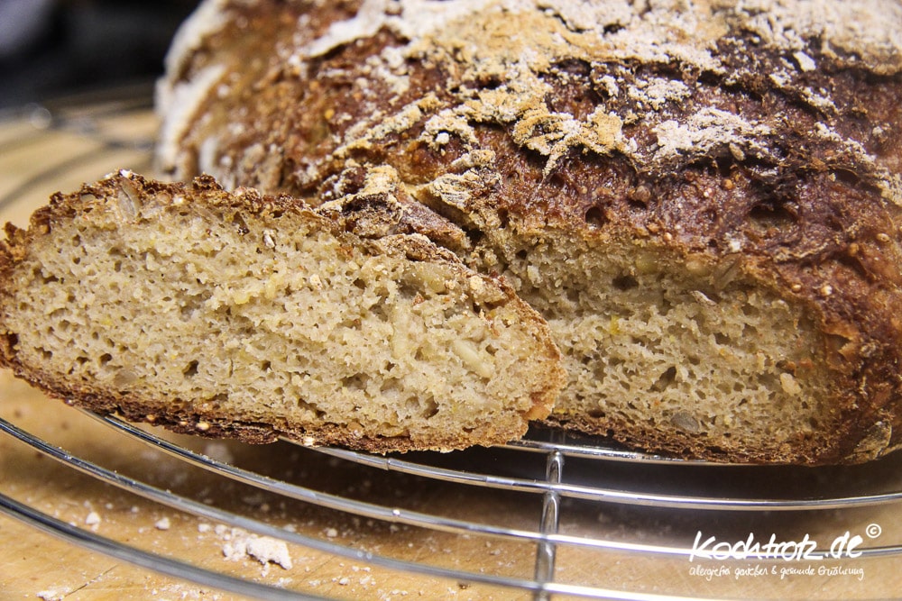 Quinoa-Sonnenblumen-Sauerteigbrot glutenfrei 1 quinoa sauerteigbrot glutenfrei rezept kochtrotz 1 33 7kochtrotzt-rezepte