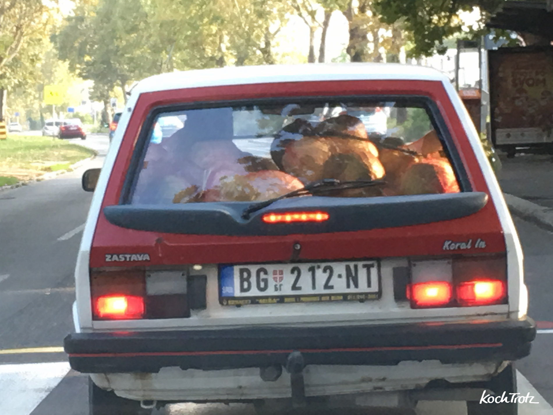 Reisebericht Belgrad und ein Landausflug nach Toplica | Oktober 2016 18 Reisebericht Belgrad | Oktober 2016 | KochTrotz
