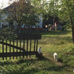 Reisebericht Belgrad und ein Landausflug nach Toplica | Oktober 2016 20 Reisebericht Belgrad | Oktober 2016 | KochTrotz