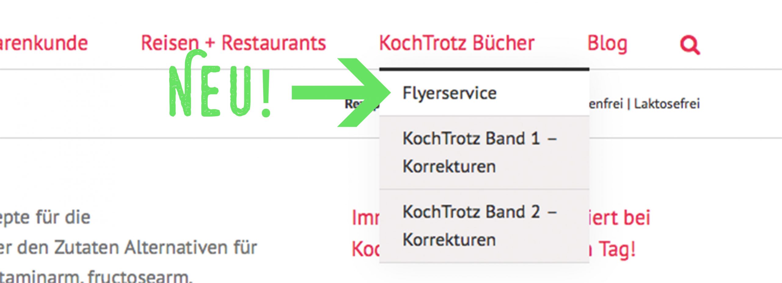 Der neue KochTrotz Blog ist da! 13 KochTrotz Flyerservice