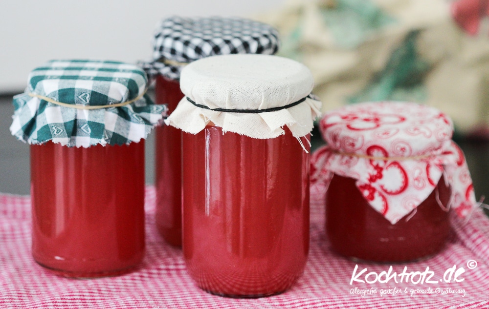 Rhabarber-Honigmelonen-Gelee fructosearm, histaminarm 4 rhabarber honigmelone gelee 1 9 6kochtrotzt-rezepte