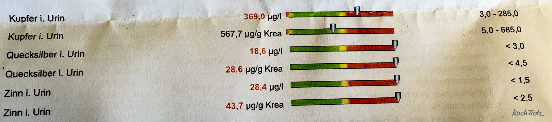 Wieder einmal Neuigkeiten zu meinem gesundheitlichen Status und warum ich mich schon länger nicht mehr vegan ernähre und auch nicht vegetarisch 18 status-steffi-kochtrotz-juli-2016-3