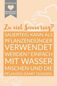 Home 21 Sauerteig Pflanzendünger