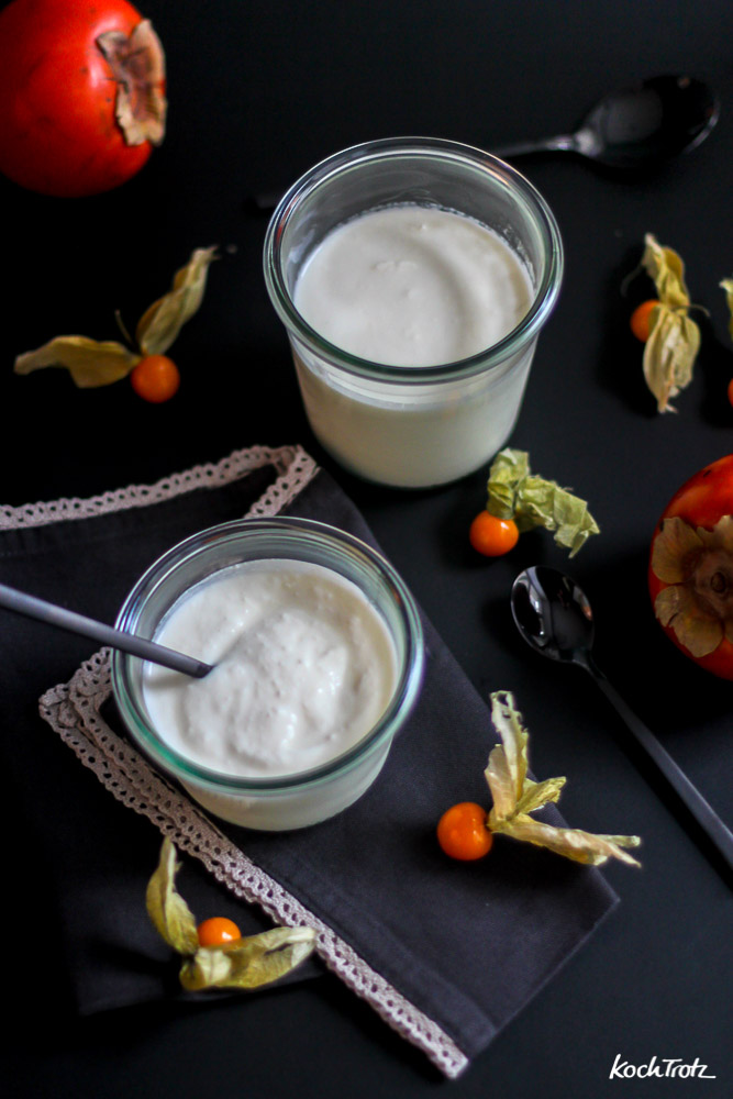 Joghurt selber machen mit der Kenwood Cooking Chef Gourmet