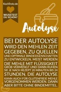 Home 21 Autolyse