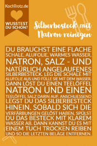 Home 21 Silberbesteck mit Natron reinigen