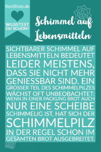 Home 21 Schimmel auf Lebensmitteln