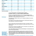 Glühwein-Eis aus der Ninja Creami 3 Ninja® Creami NC300 Programm-Informationen