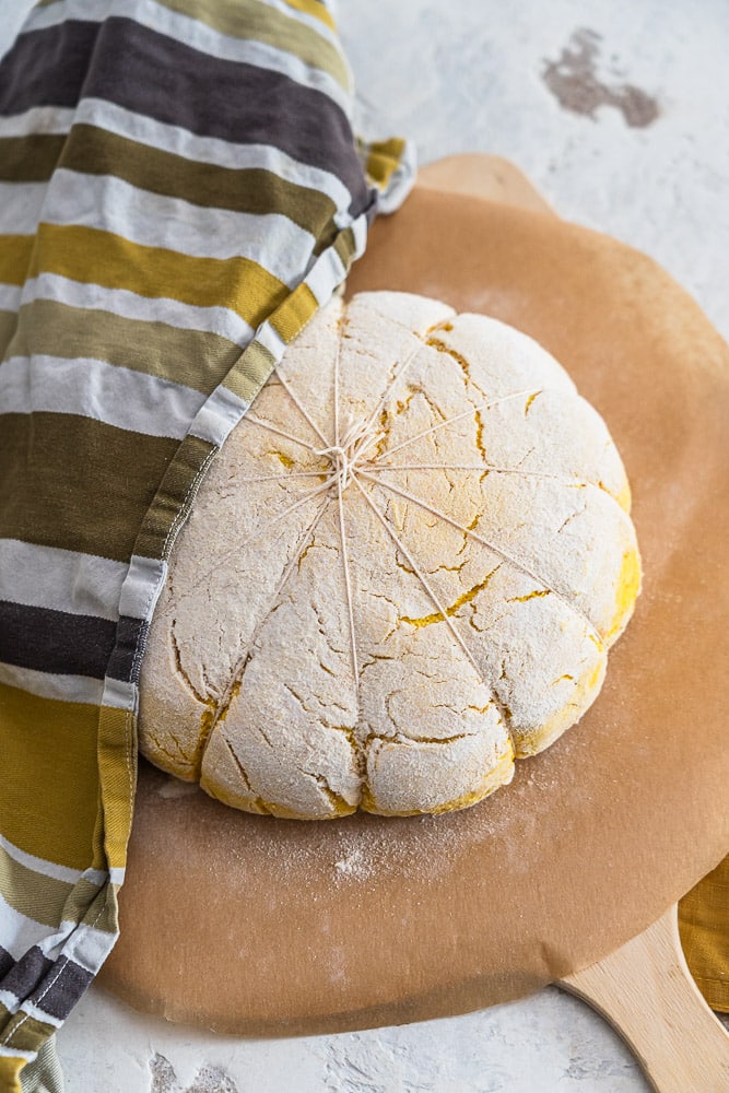 Schnelles Kürbisbrot - ohne Hefe - glutenfrei 3 Kürbisbrot glutenfrei, ohne Hefe, einfaches Rezept