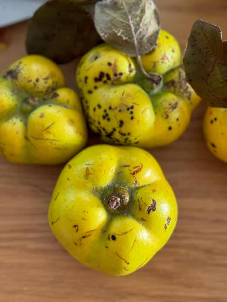 Quitteneis Spezial – für die Ninja Creami 10 Rezept gebackene Quitten schnell und einfach